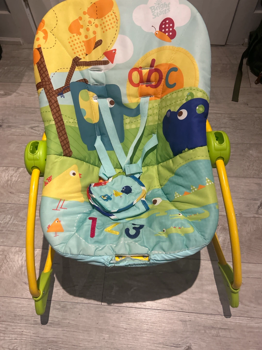 Bright Starts baby bouncer