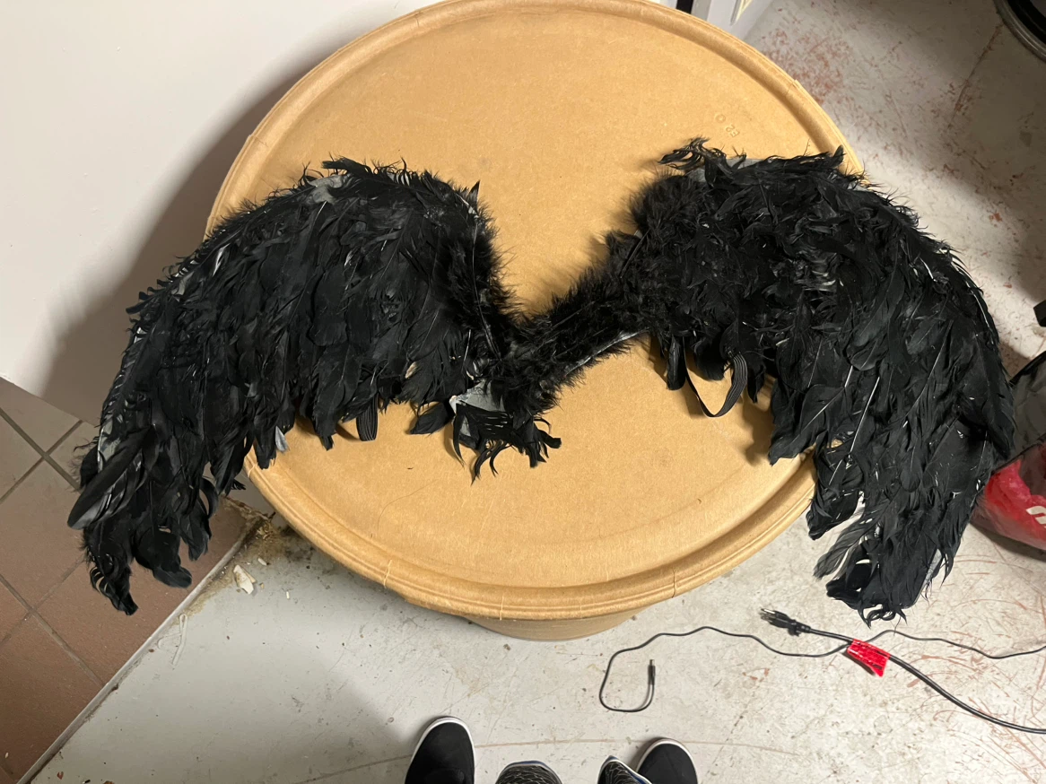 Black Feather Wings Costume Accessory - photo 2