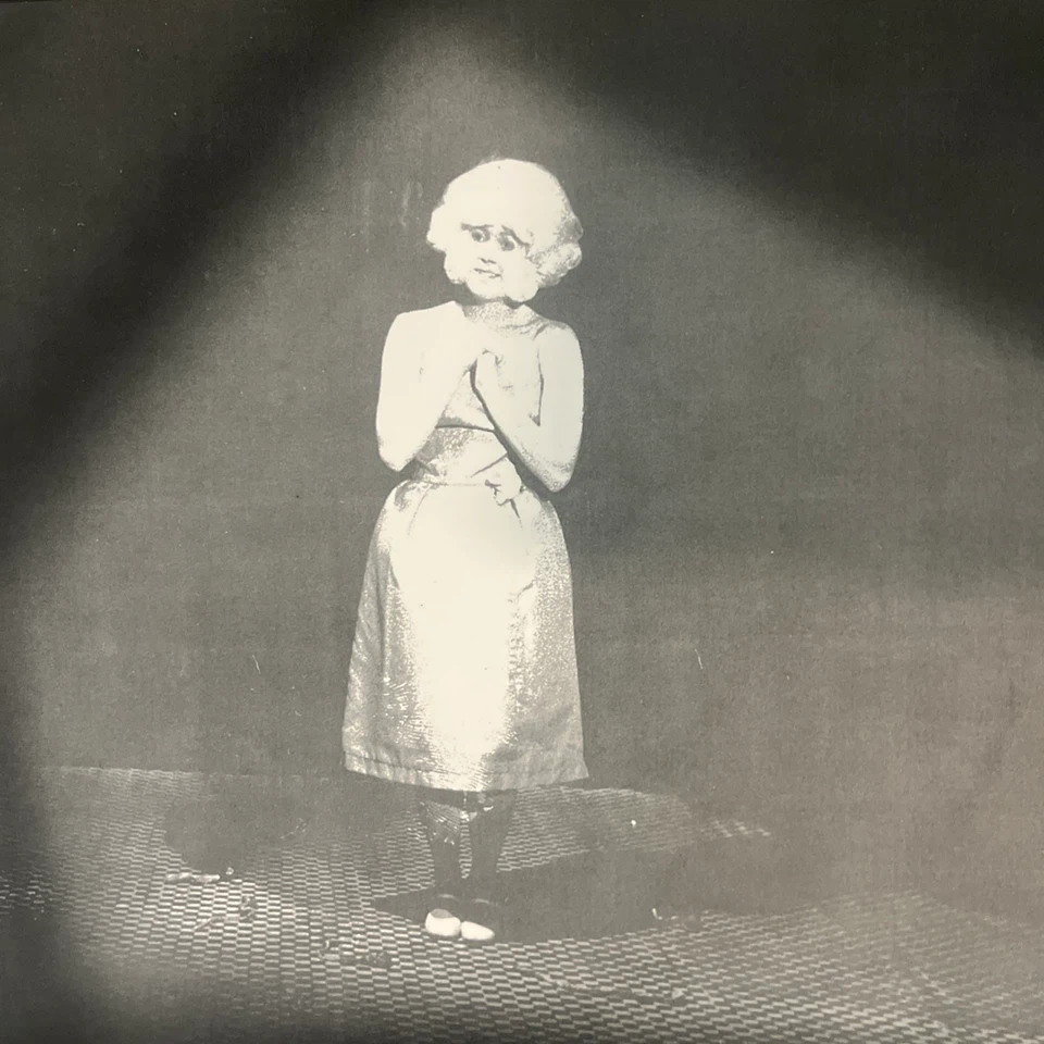 Eraserhead Original Soundtrack Vinyl - photo 3