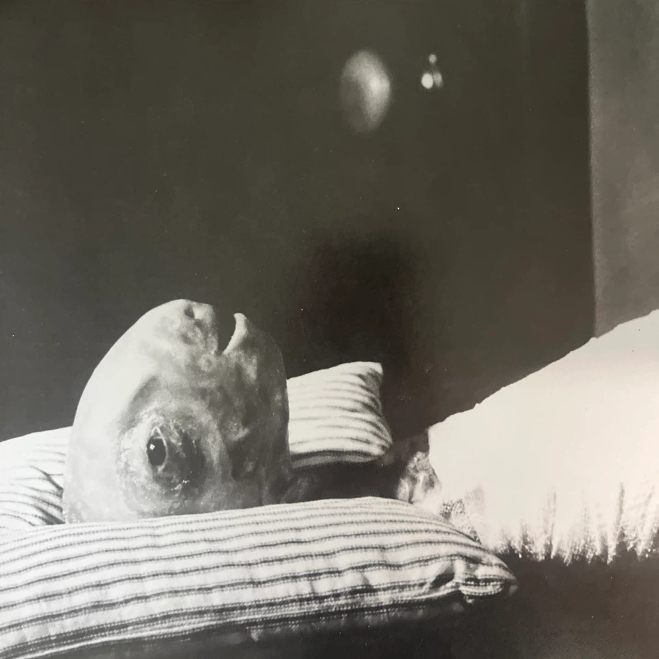 Eraserhead Original Soundtrack Vinyl - photo 5