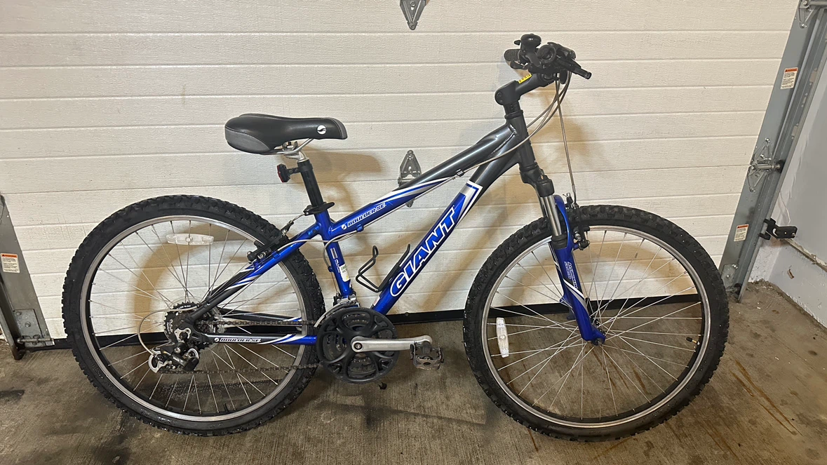 Giant Boulder SE Mountain Bike