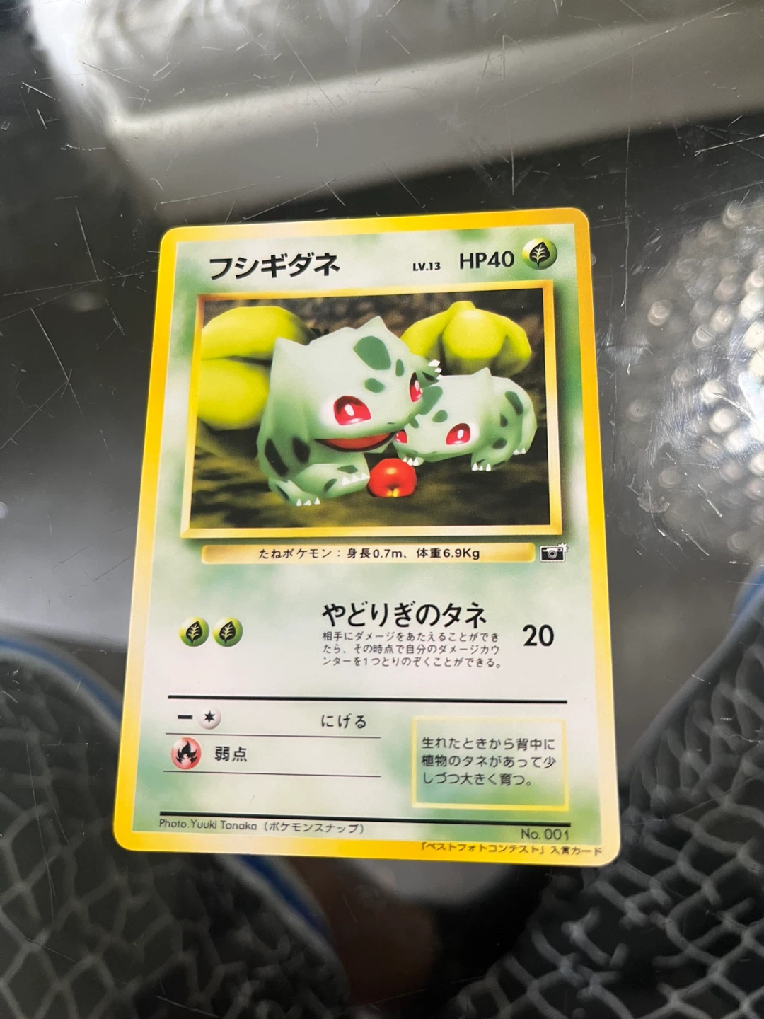 Japanese Pokemon Snap Bulbasaur Card custom