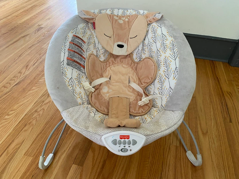 Fisher-Price Baby Bouncer