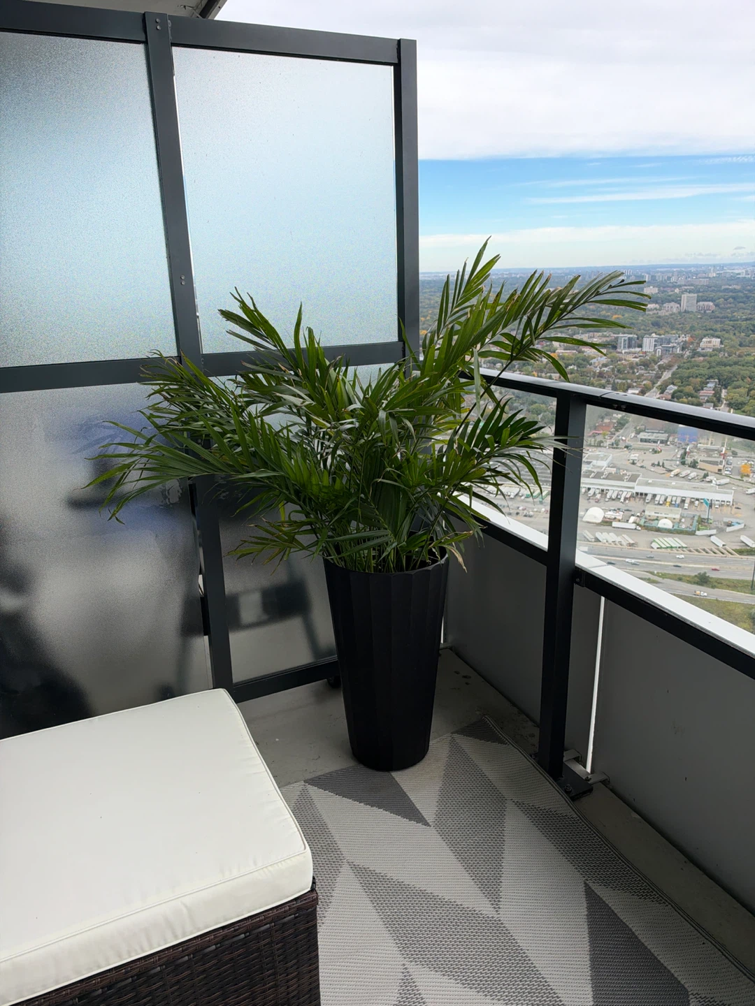 Plant