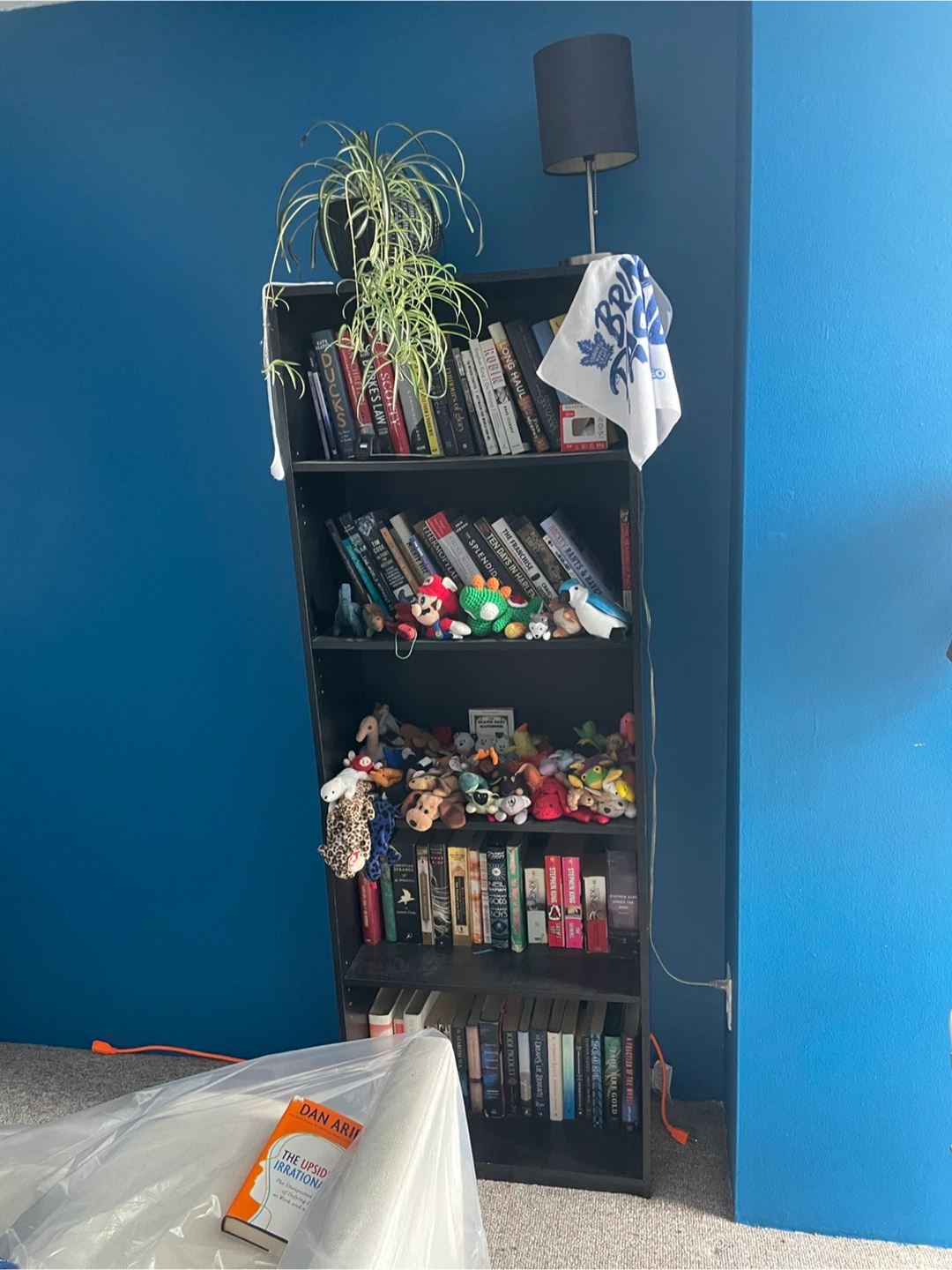 Bookcase