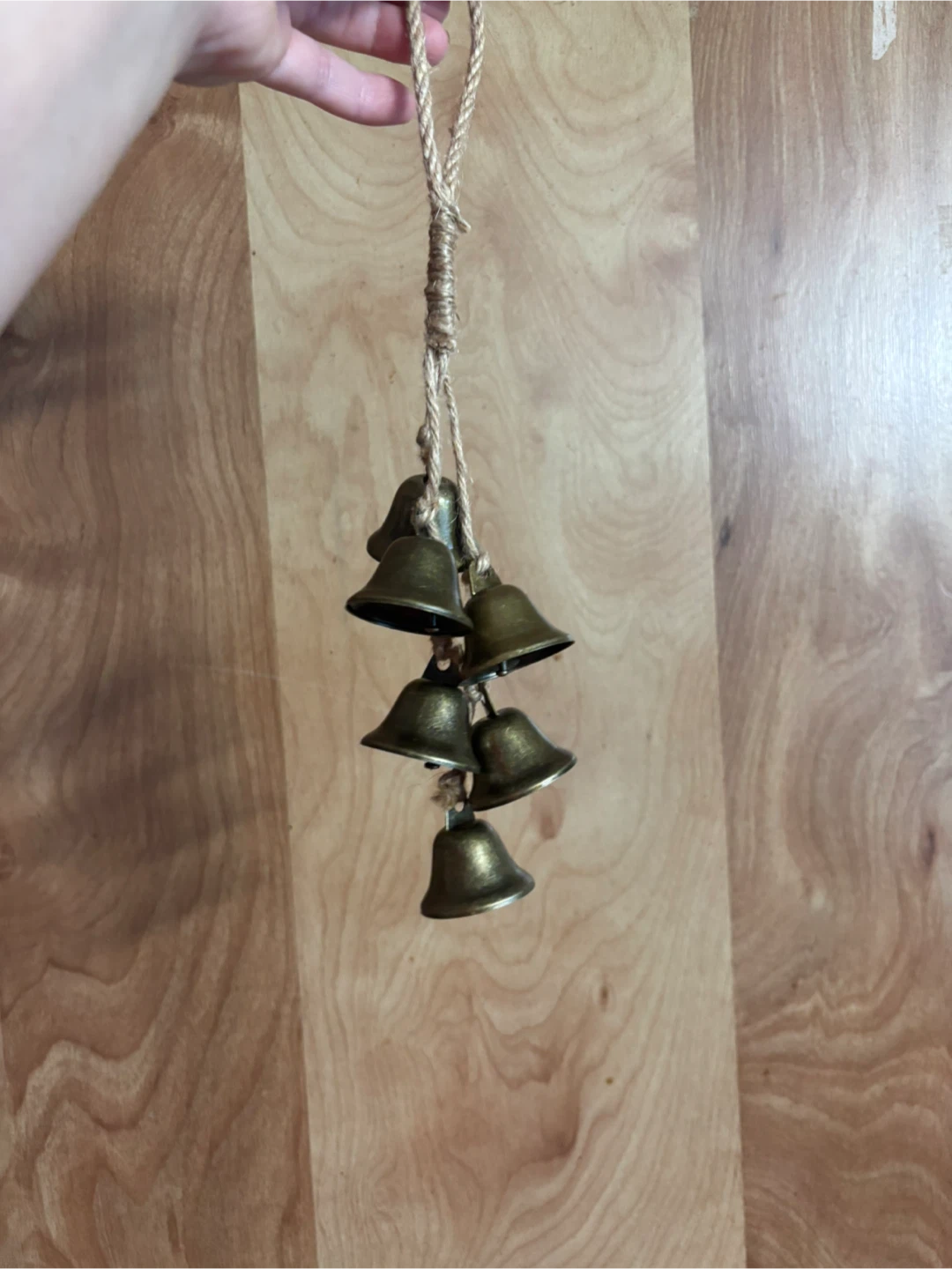 2 pack Gold cow bell decor