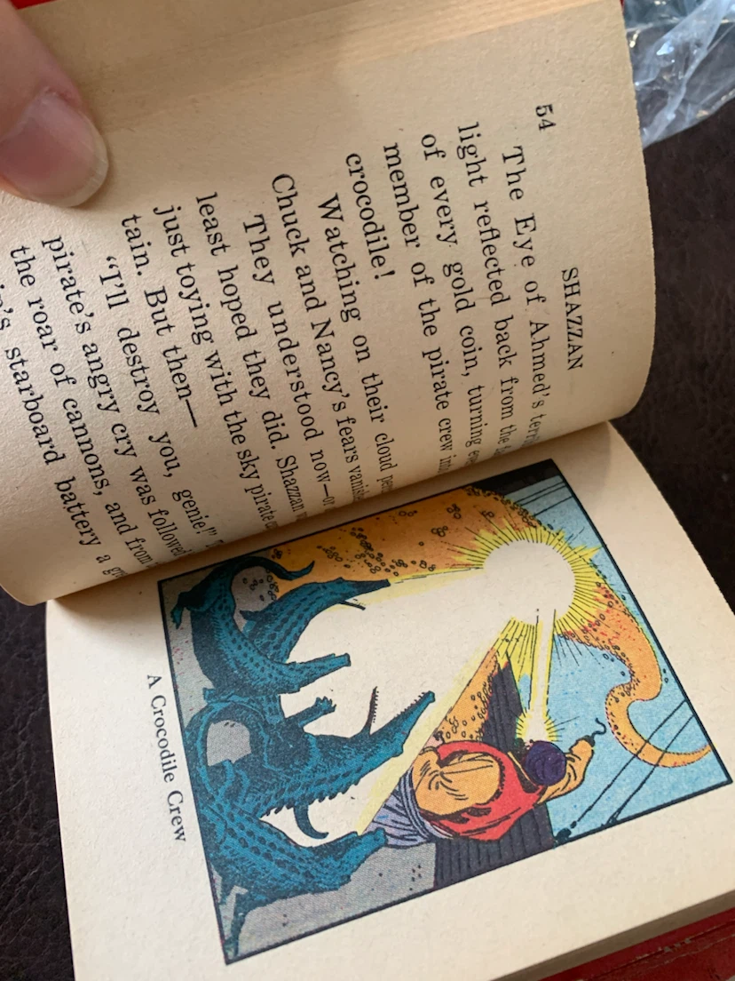 Vintage Shazzan and Lassie Books - photo 2