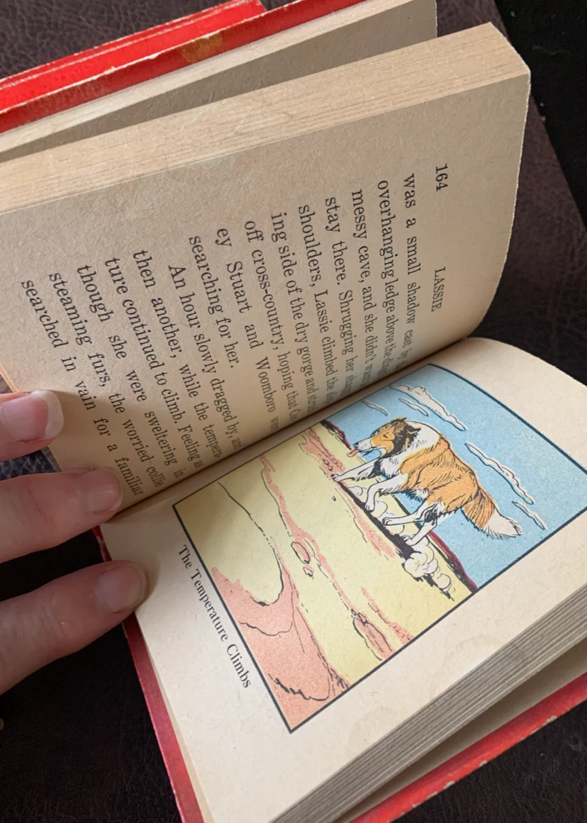 Vintage Shazzan and Lassie Books - photo 5