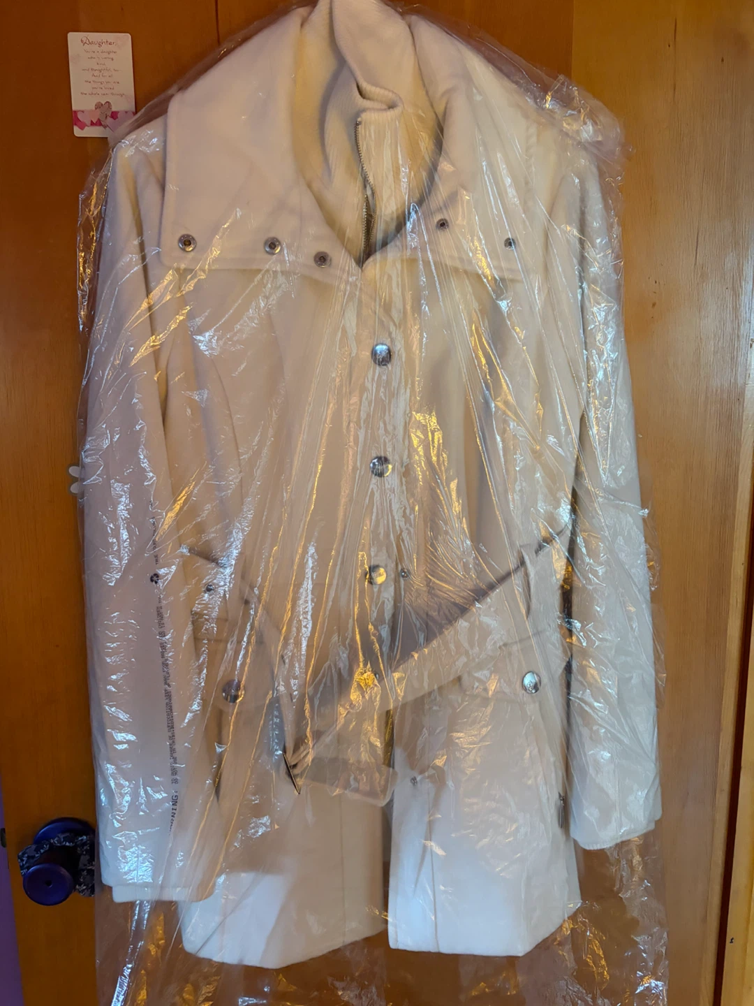 White Winter Coat guess