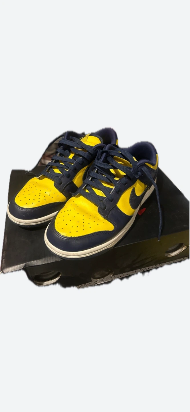 Nike Dunk Low Michigan Sneakers
