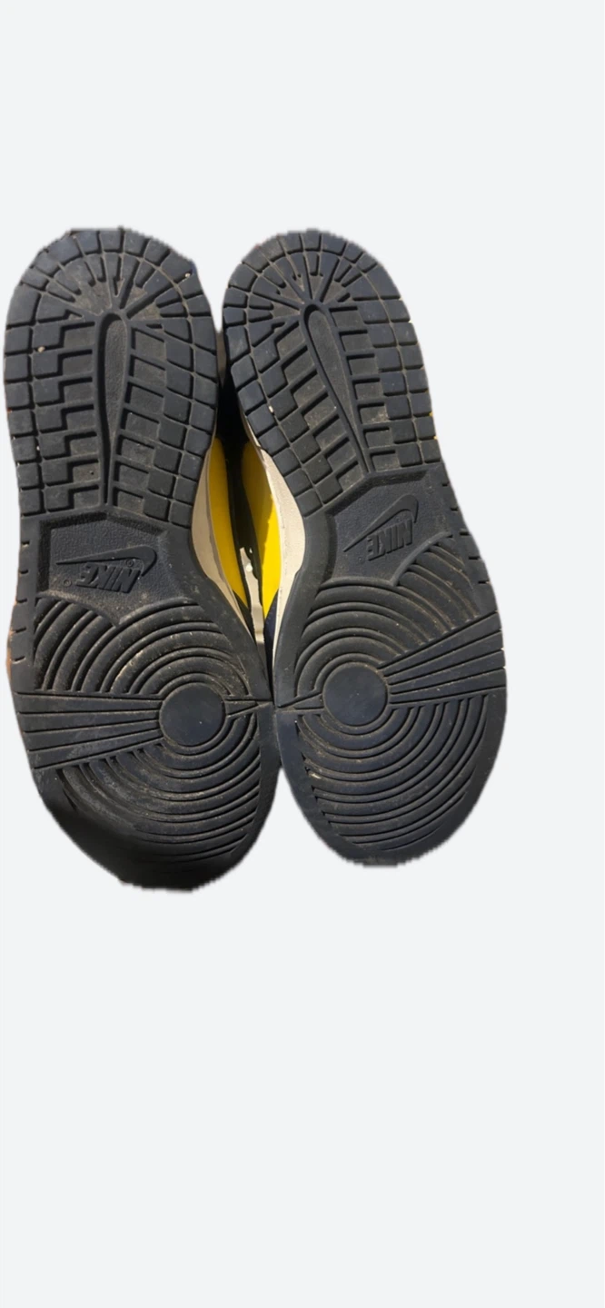 Nike Dunk Low Michigan Sneakers - photo 3