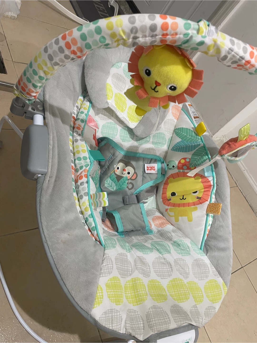 Simmons Bassinet and Bright Starts Bouncer