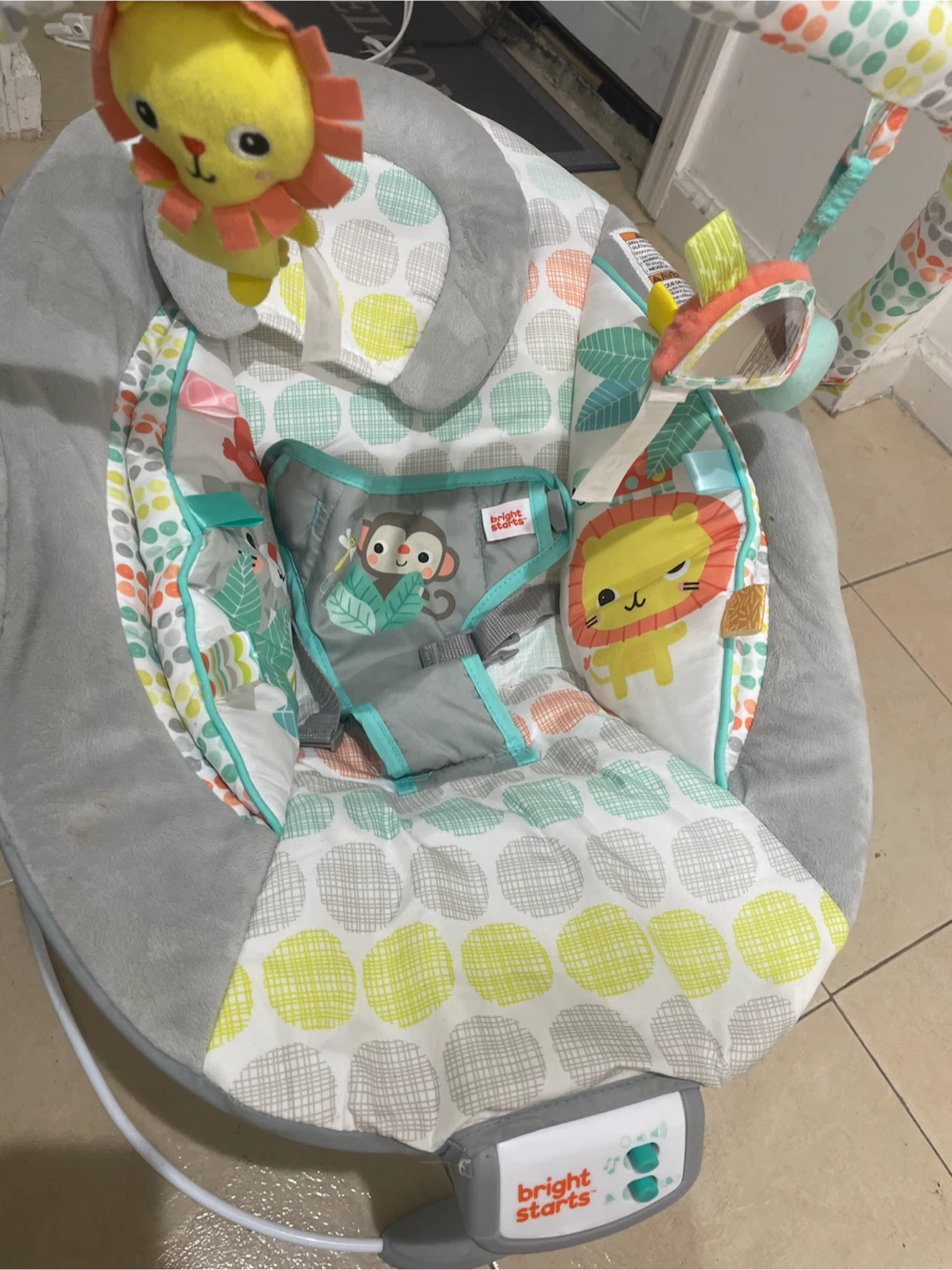 Simmons Bassinet and Bright Starts Bouncer - photo 5