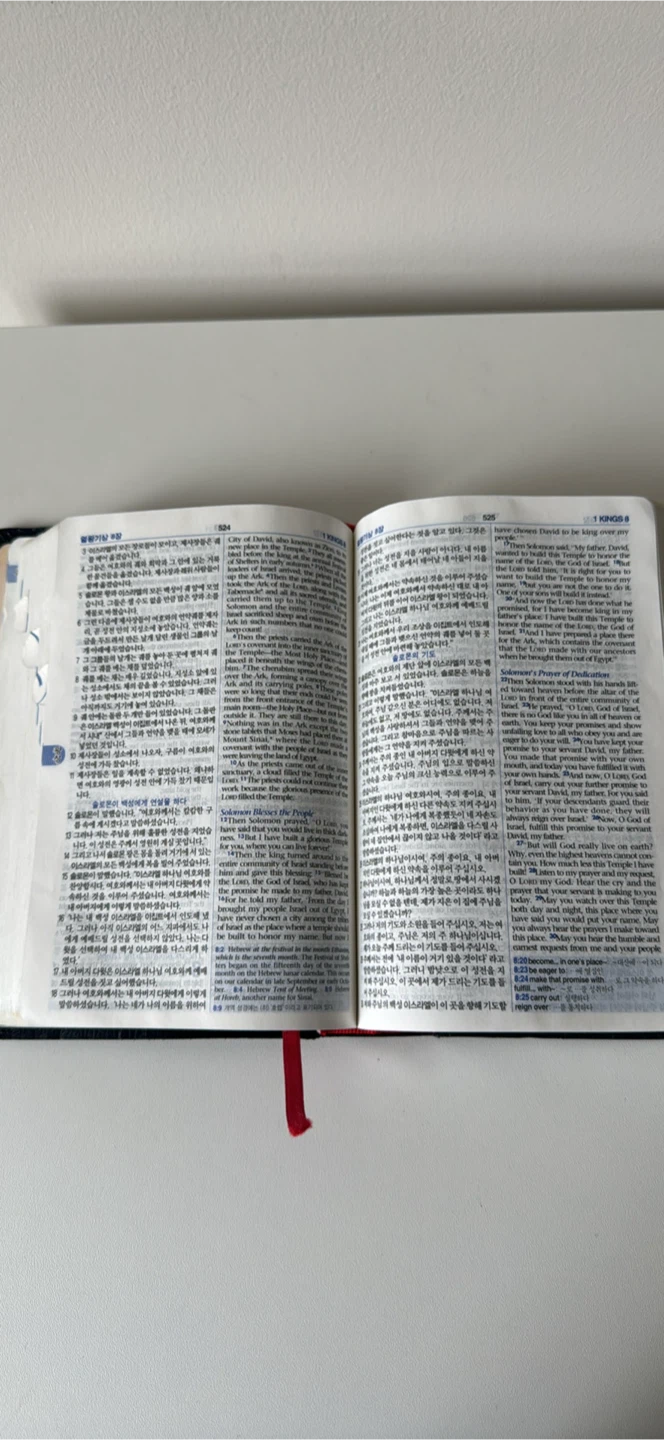Agape Korean-English Bible - photo 2