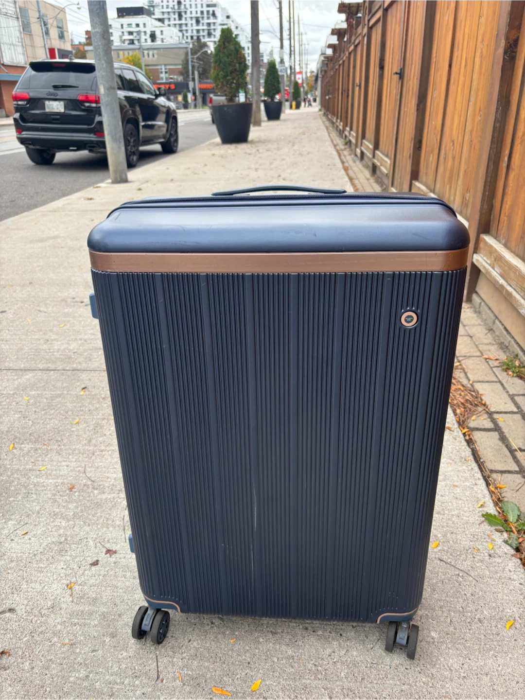 Large Check in Navy Blue Rolling Suitcase