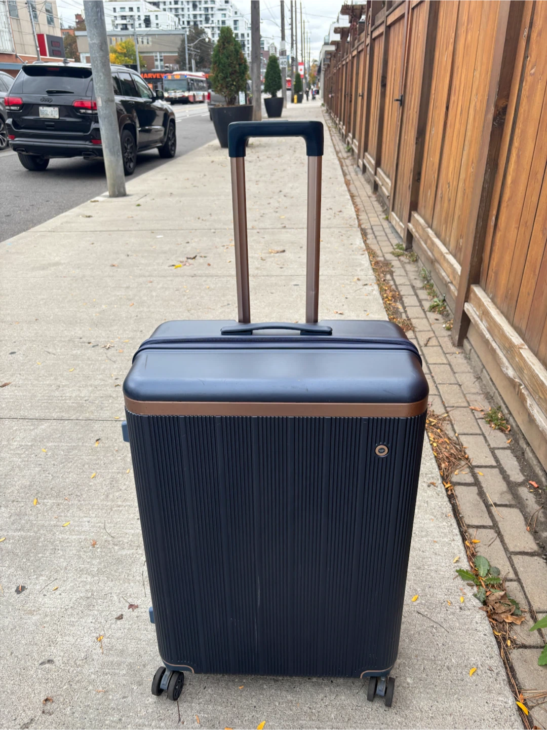 Large Check in Navy Blue Rolling Suitcase - photo 2