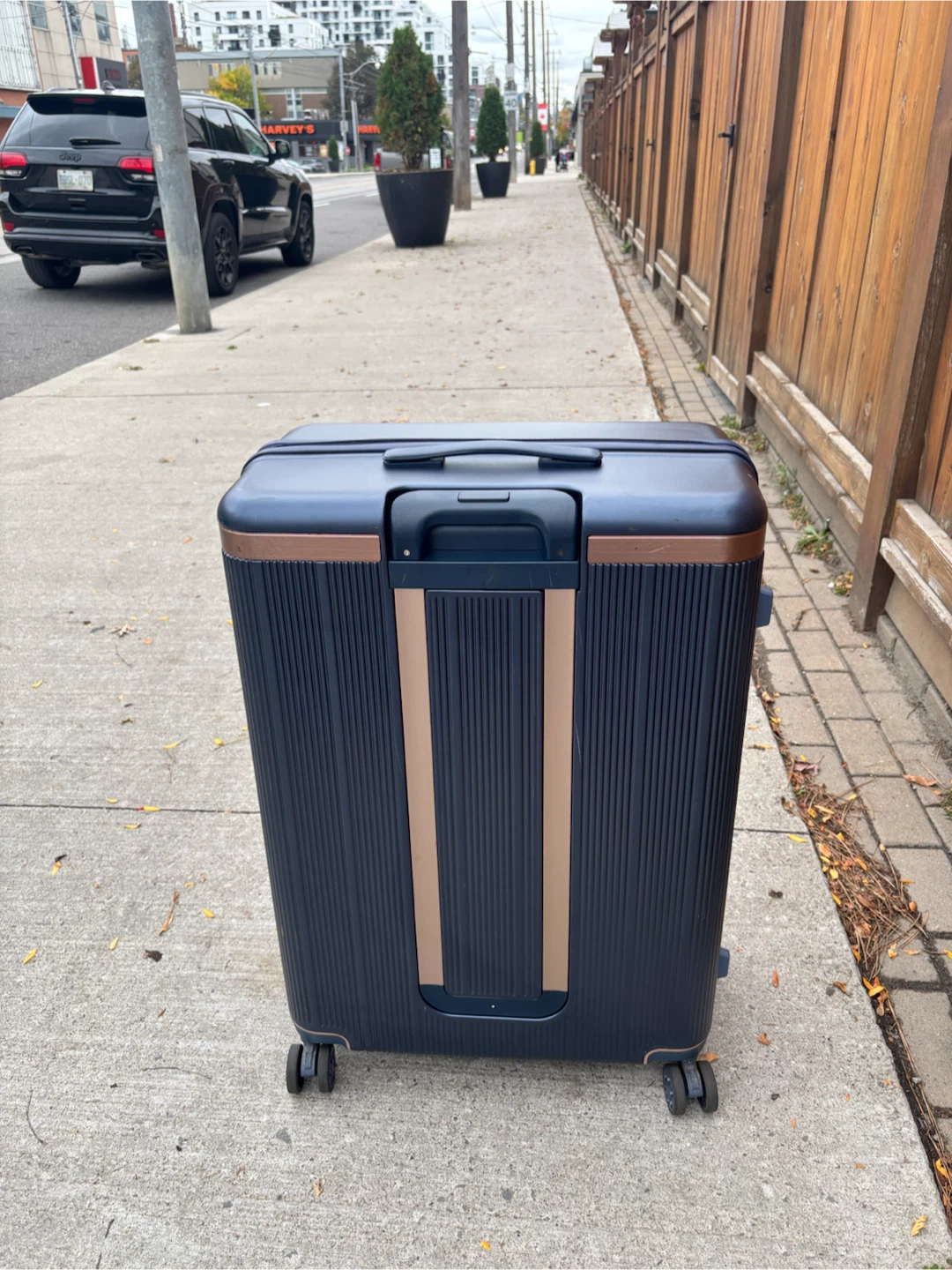 Large Check in Navy Blue Rolling Suitcase - photo 4