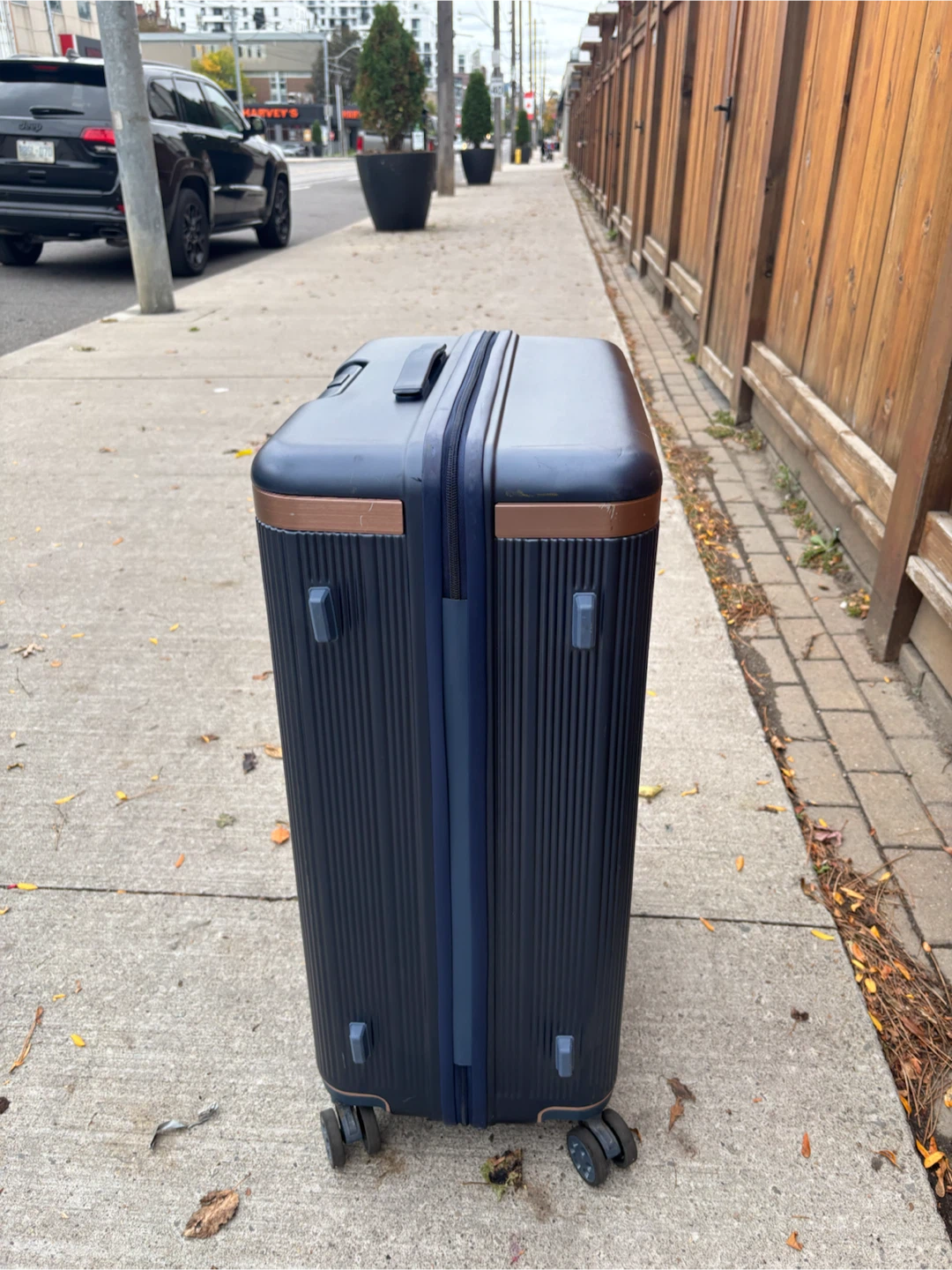 Large Check in Navy Blue Rolling Suitcase - photo 5