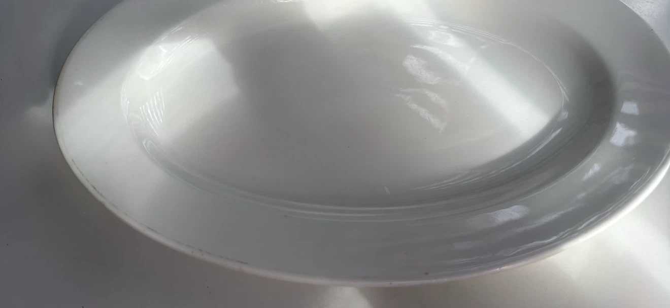 White Platter - photo 5