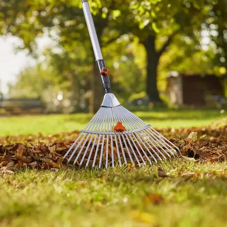 🍁 AFFORDABLE FALL YARD CLEANUP – WINNIPEG 🍁
