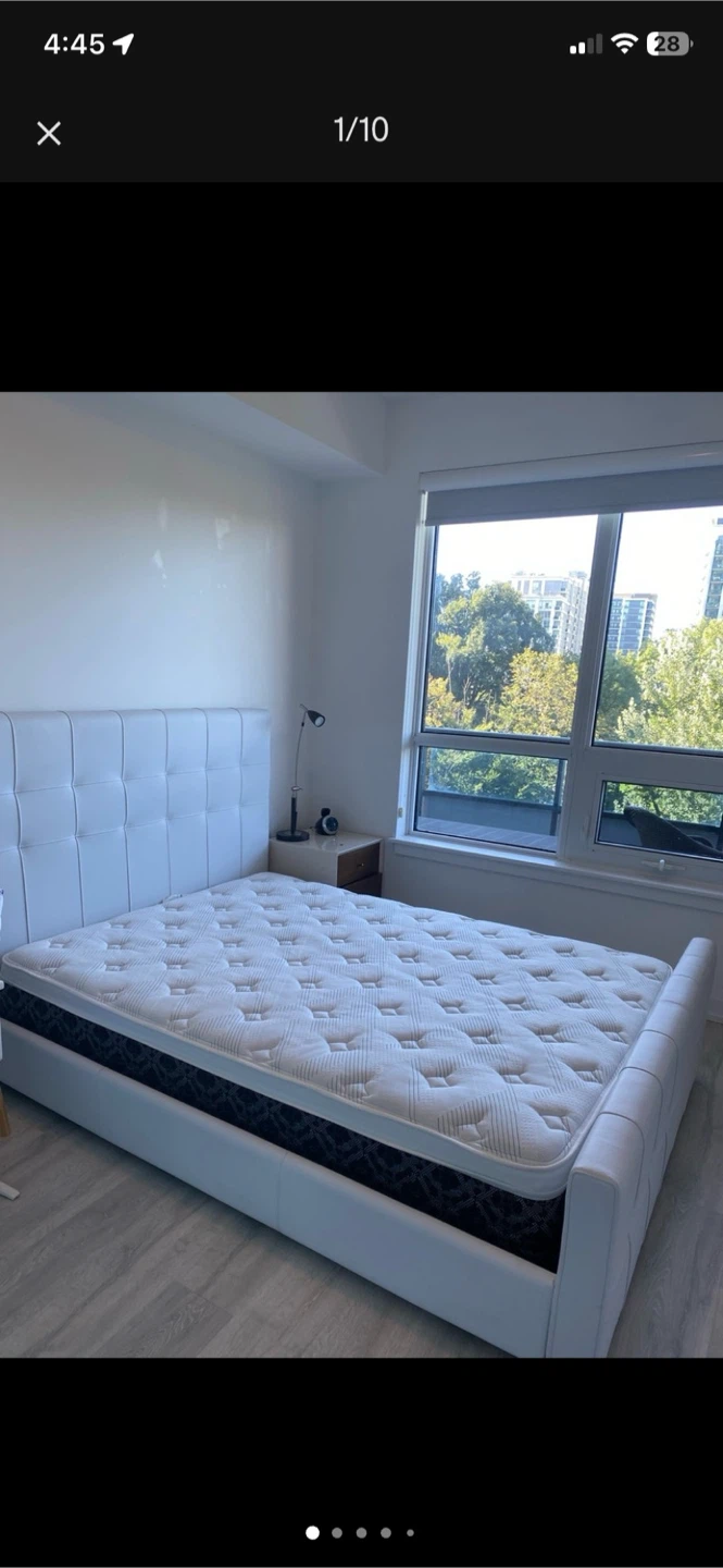 Mobilia tufted modern bed with mattress.