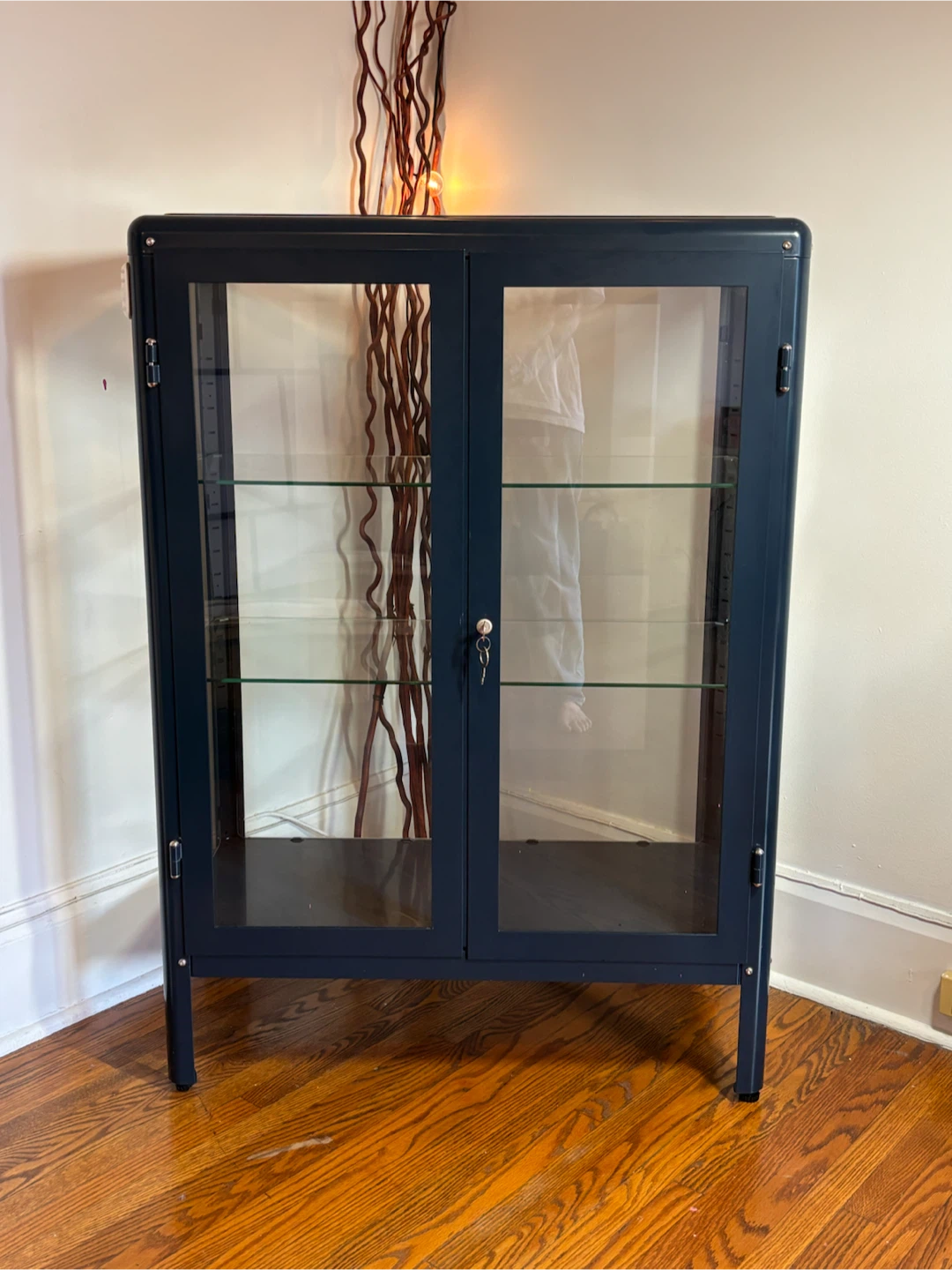 IKEA MILSBO Glass Door Cabinet Dark Blue