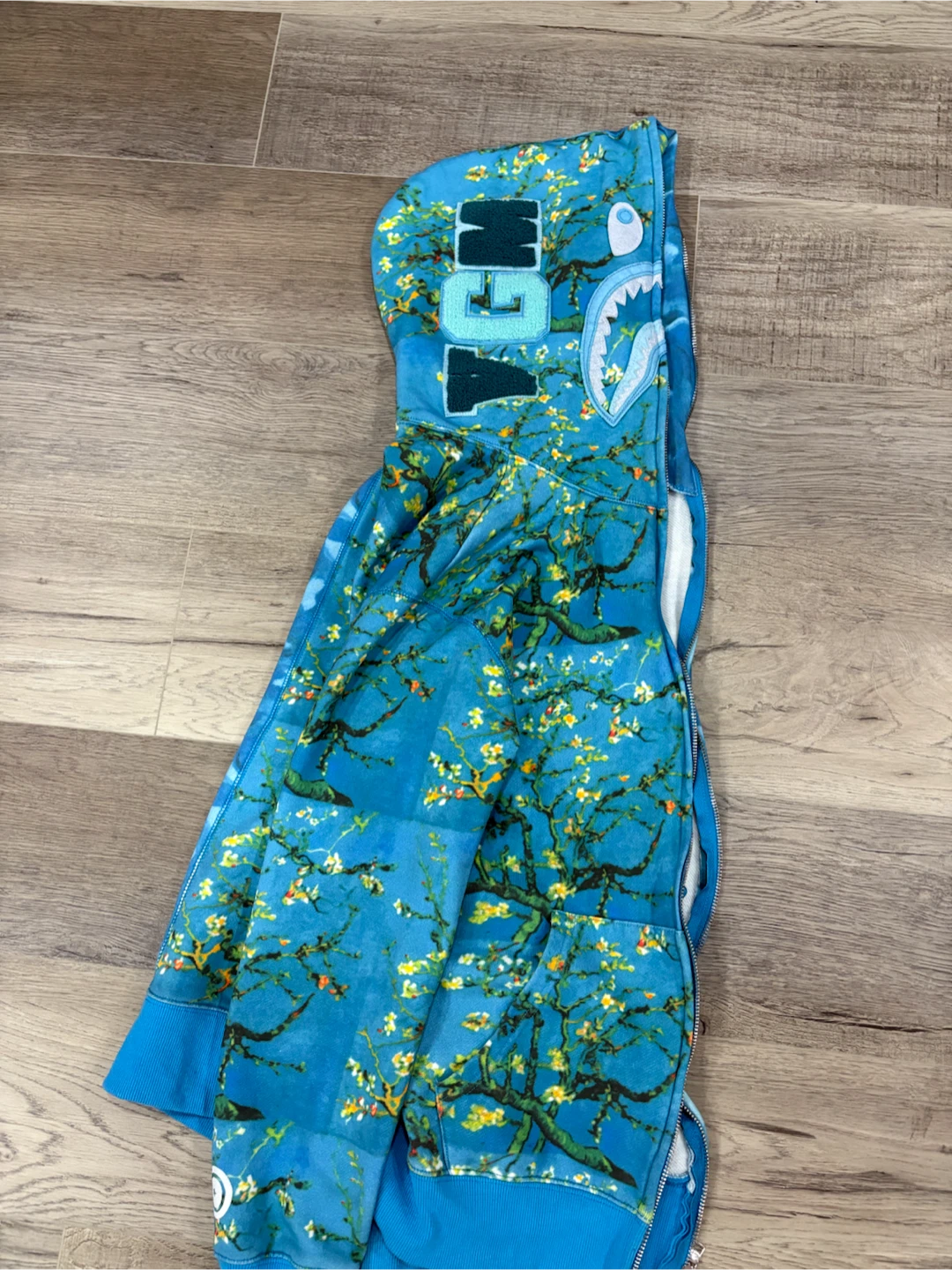 A Bathing Ape x Van Gogh hoodie
