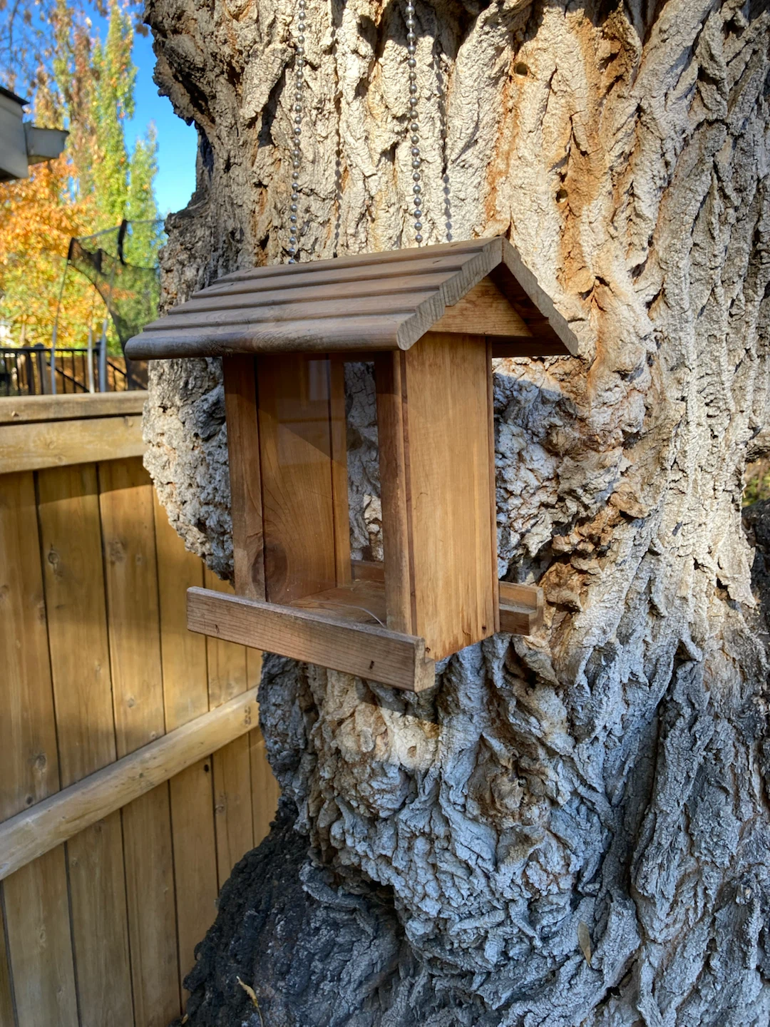 Bird Feeder - photo 3
