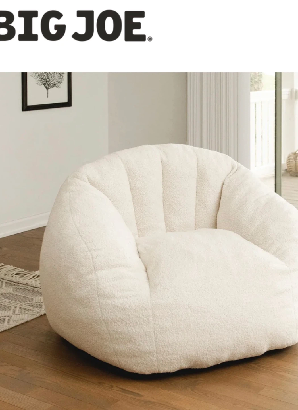 Big Joe chair adult