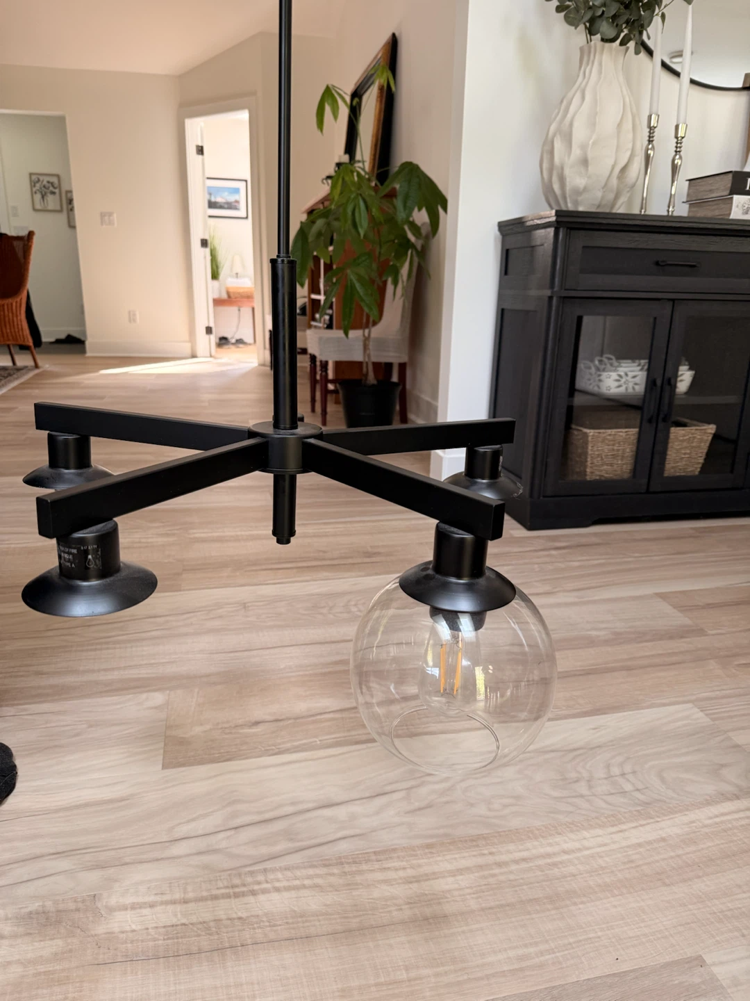 Black 5-Light Chandelier with Glass Globe Shades - photo 5