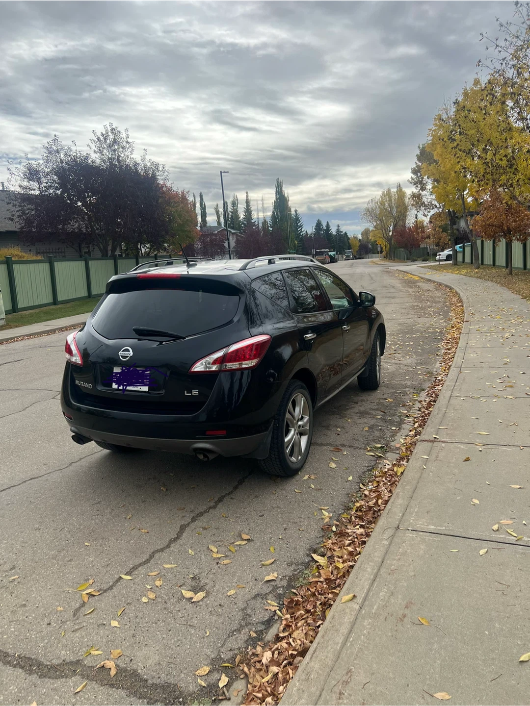 2013 Nissan Murano LE AWD-fully loaded - photo 3