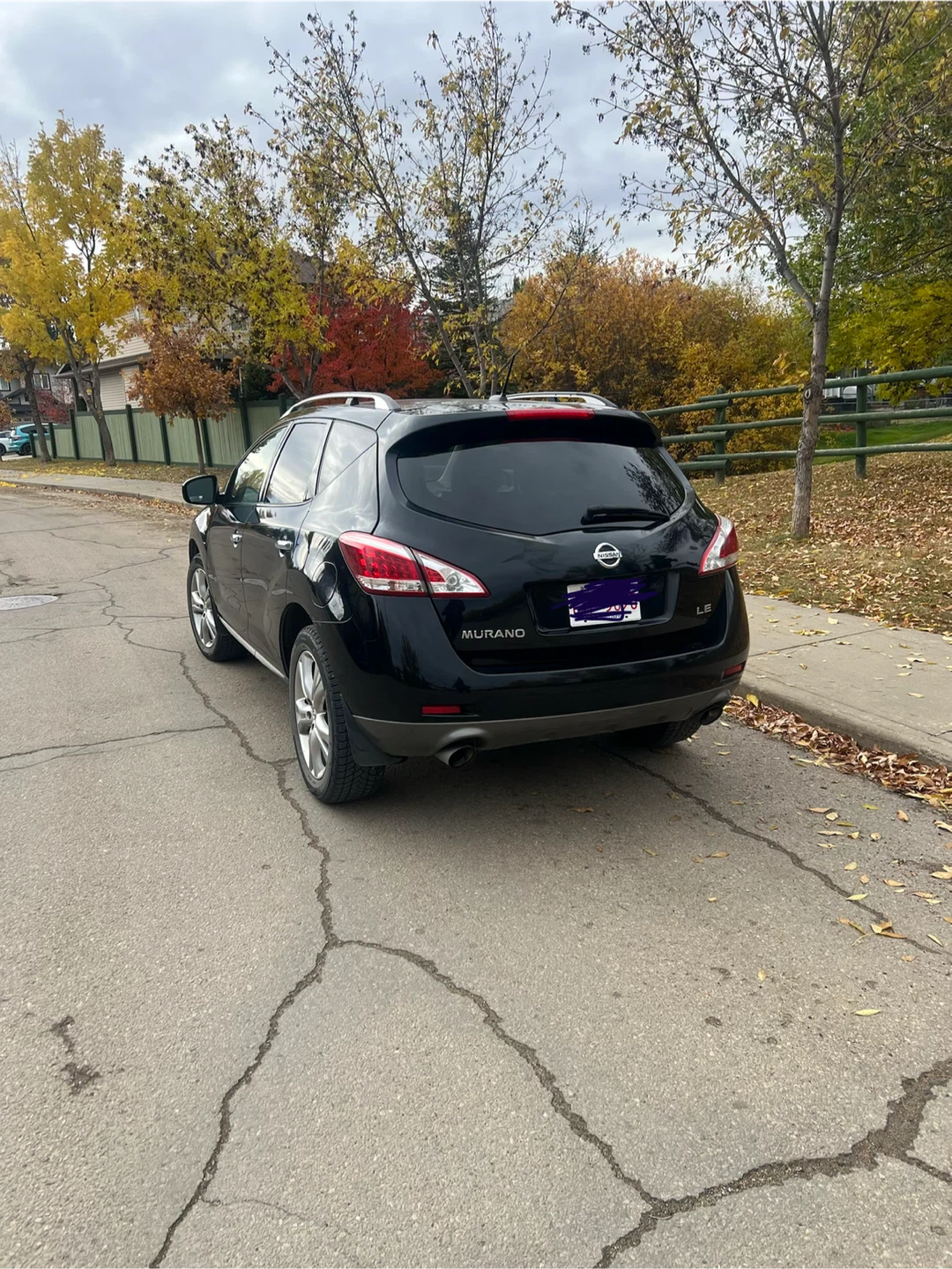 2013 Nissan Murano LE AWD-fully loaded - photo 4