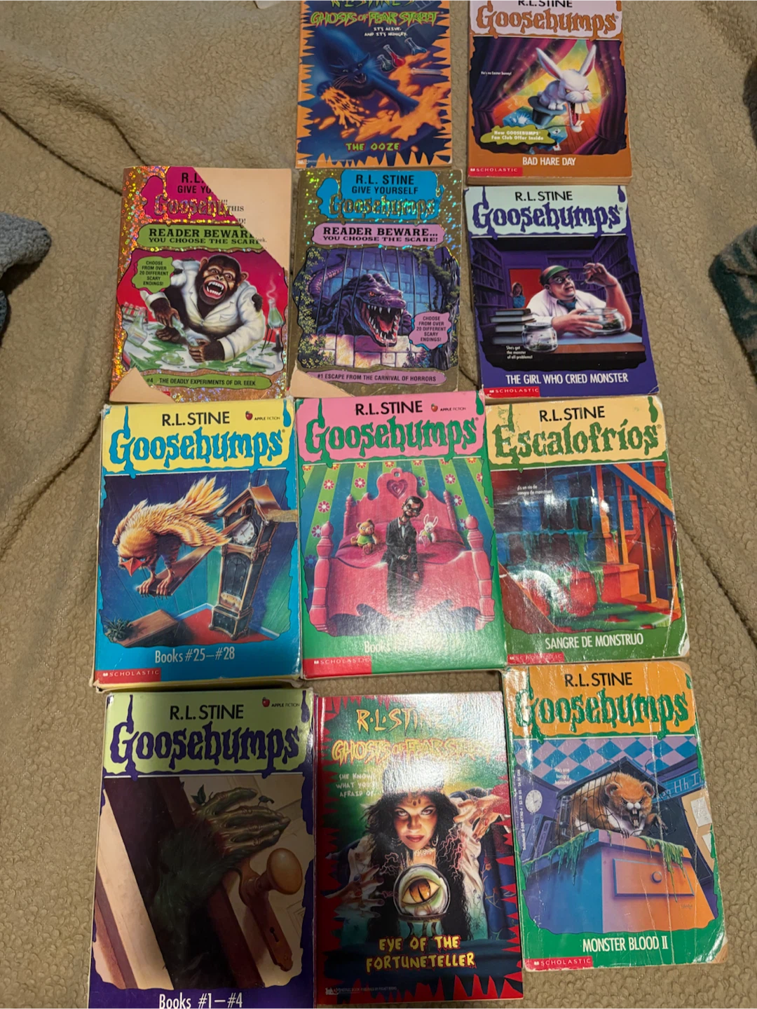 Lot of 19R.L. Stine Goosebumps Books