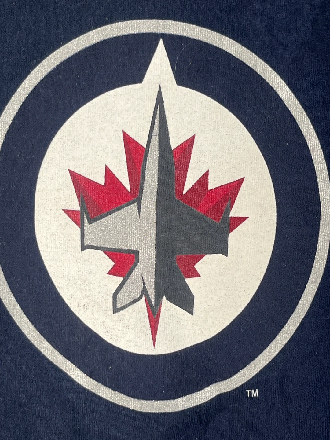 Winnipeg Jets Licensed Kid's Gear Set (Tee & Cap) – NEW W/ TAGS! - photo 2