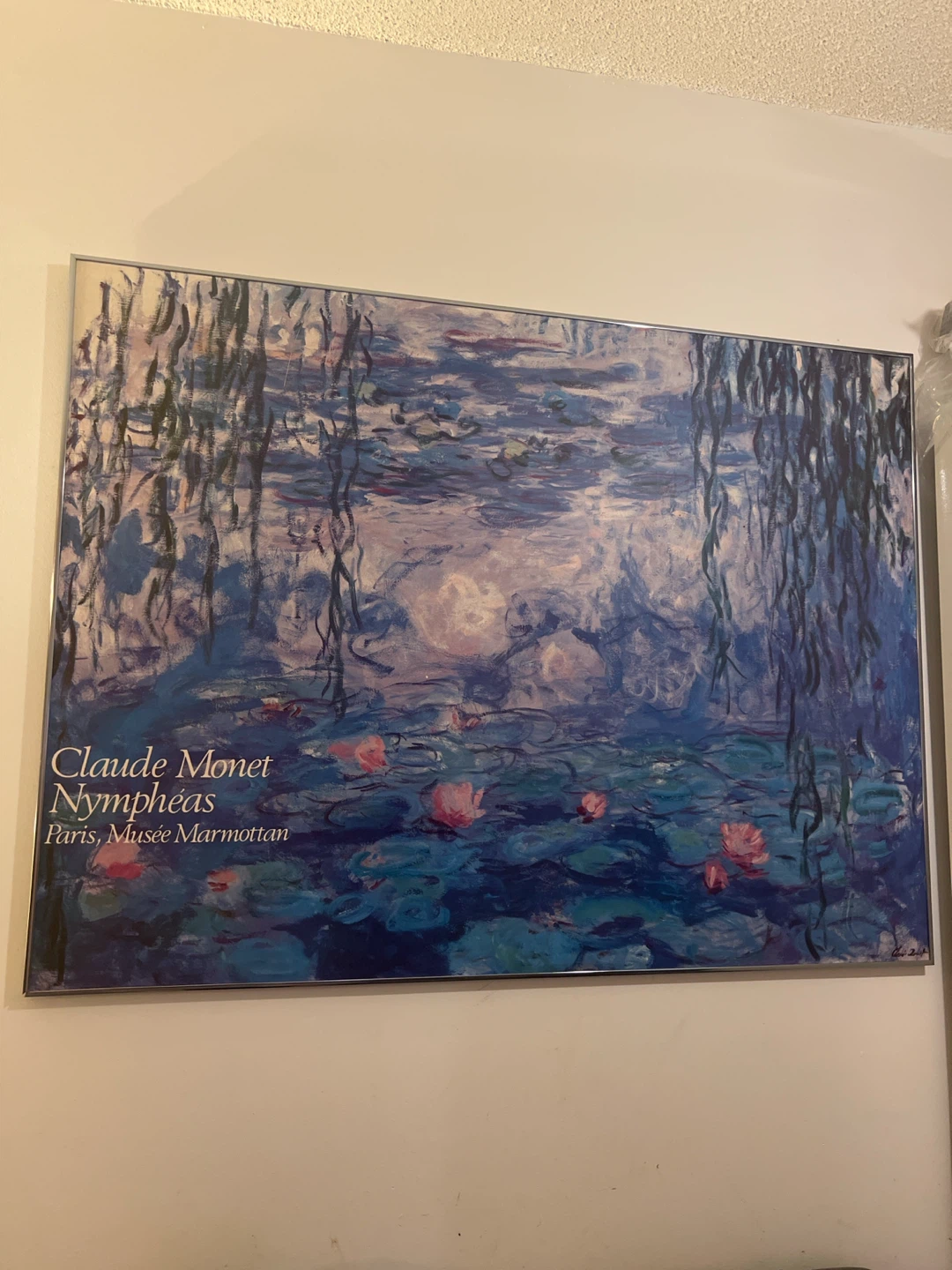 Claude Monet Nympheas Framed Print