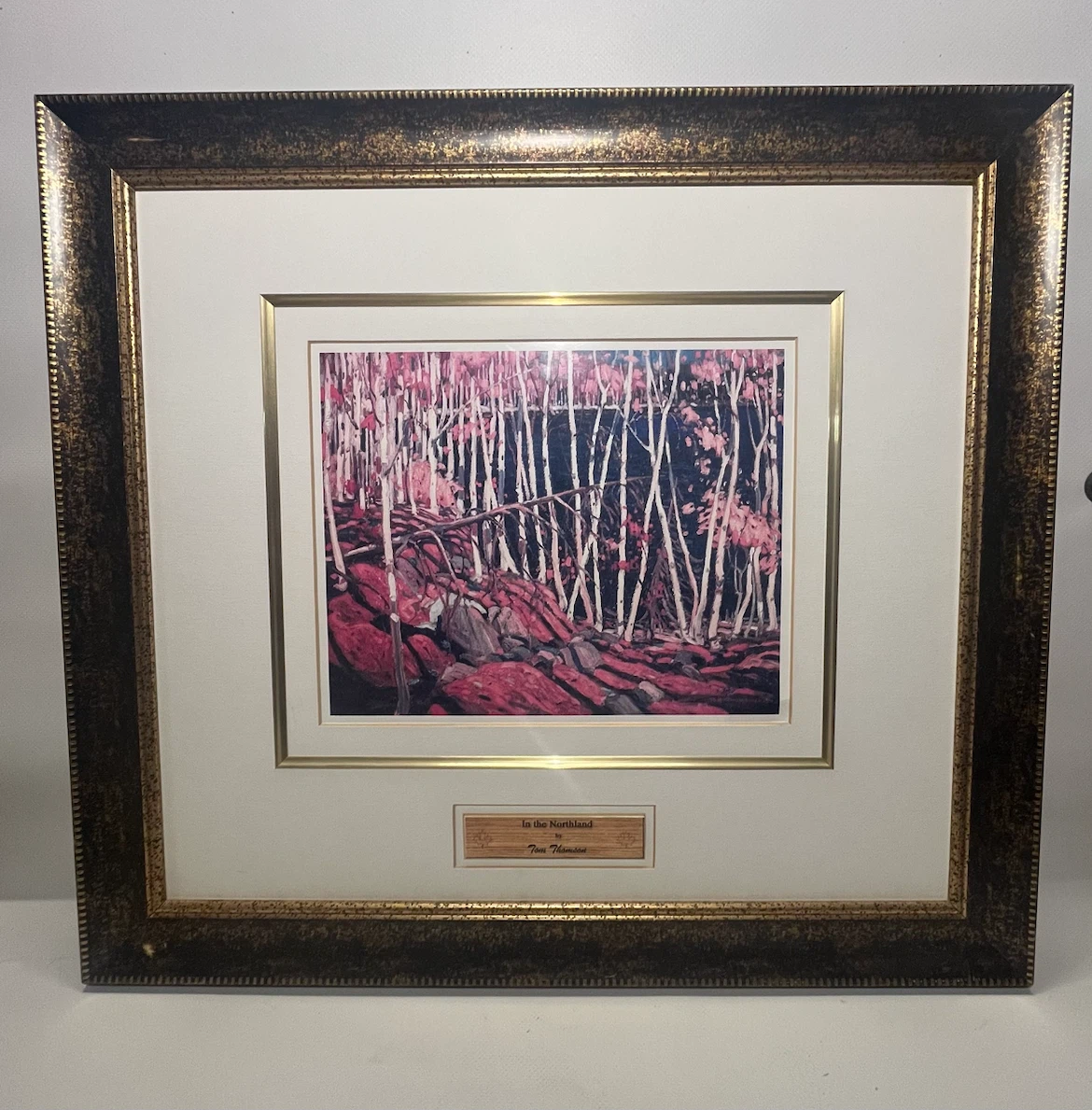 Tom Thomson In the Northland Framed Print