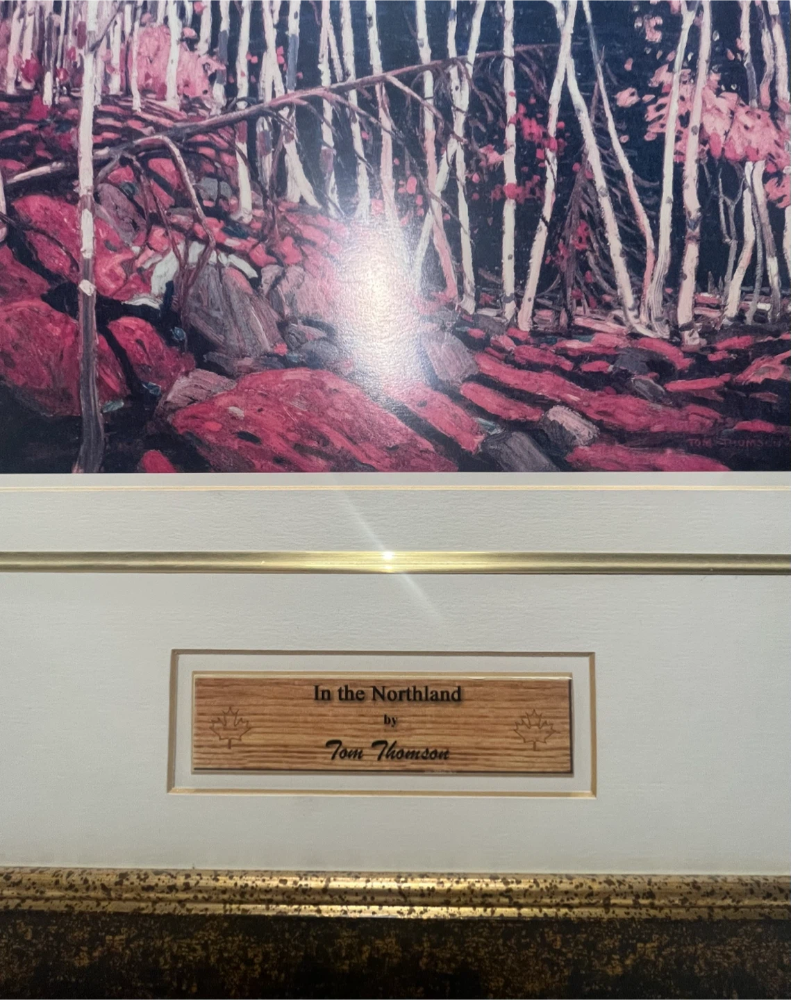 Tom Thomson In the Northland Framed Print - photo 2