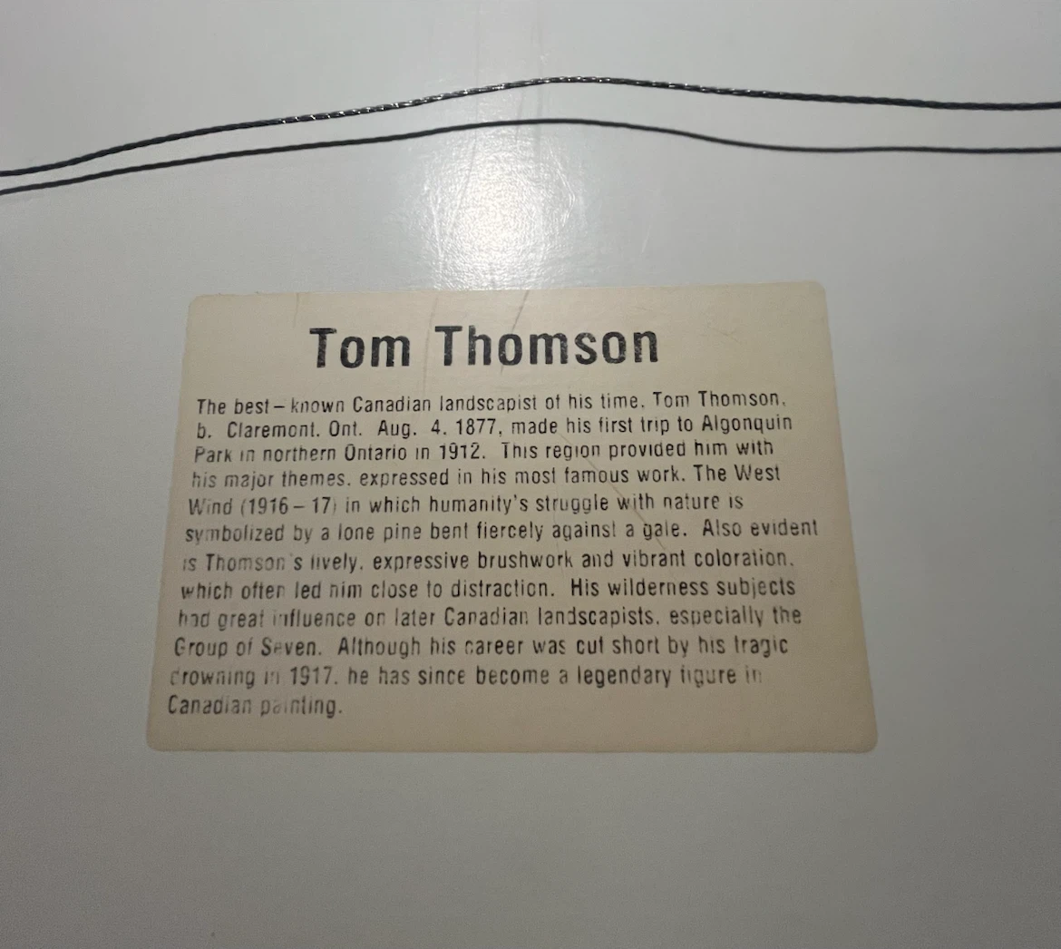 Tom Thomson In the Northland Framed Print - photo 4