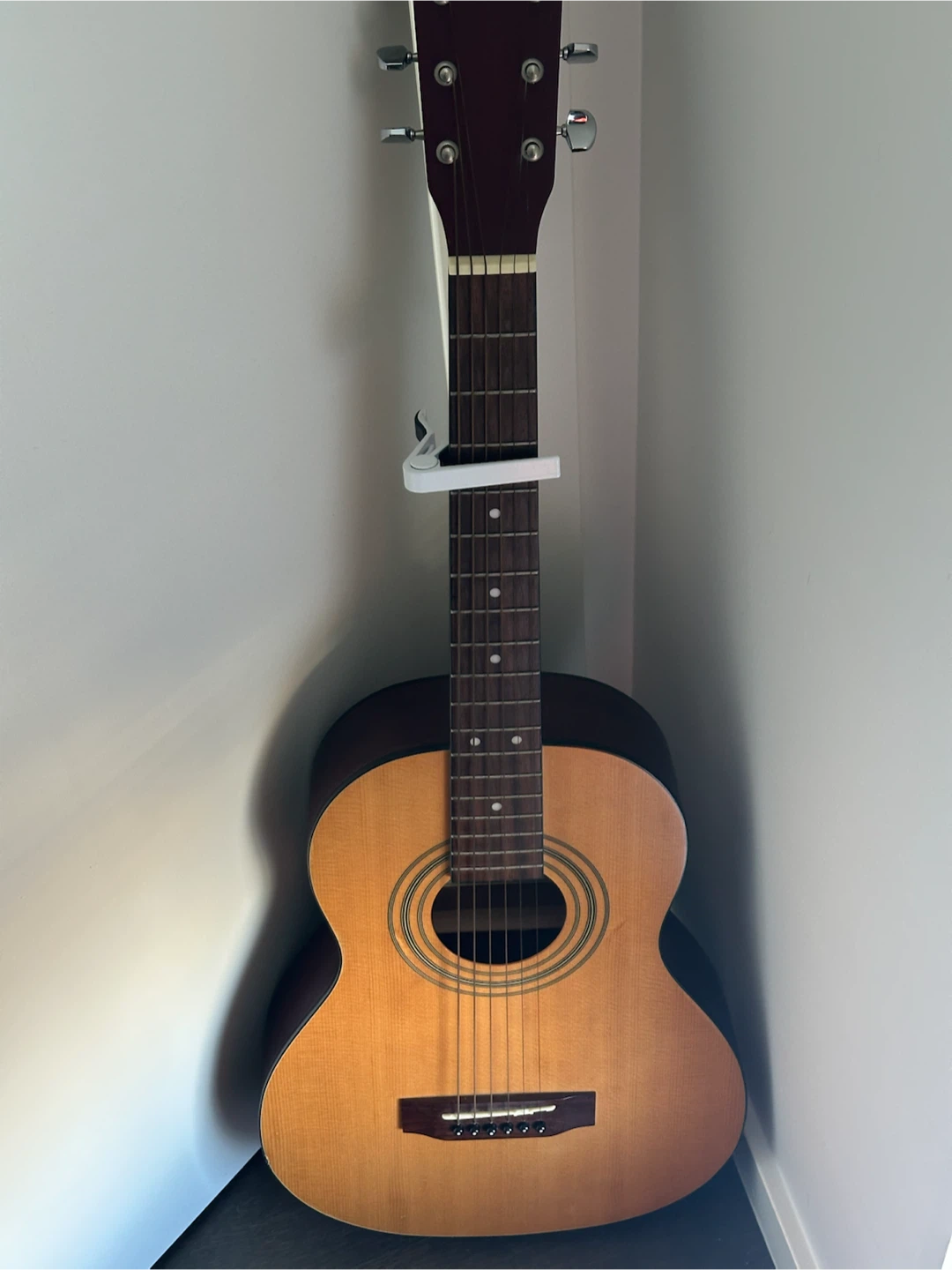 Northland Acoustic Guitar with Voyageur Case