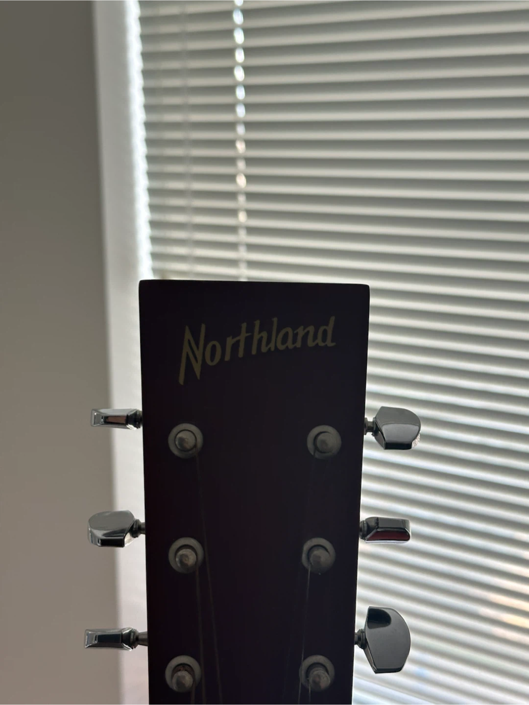 Northland Acoustic Guitar with Voyageur Case - photo 2