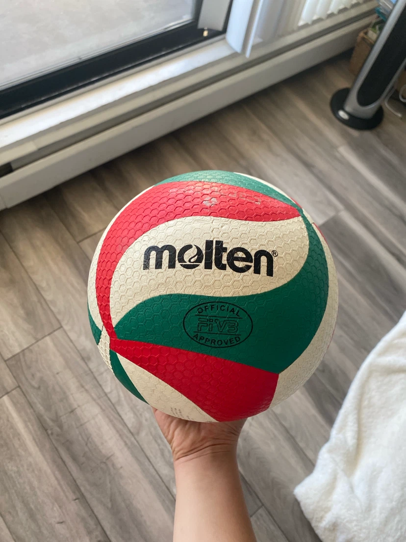 Molten Official FIVB Volleyball