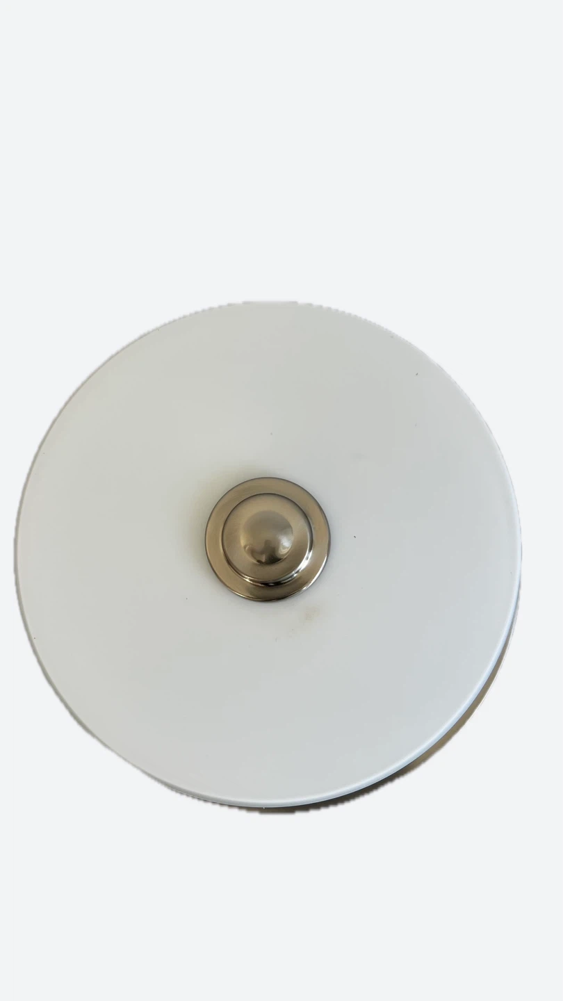 Flush Mount Ceiling Light Fixture
