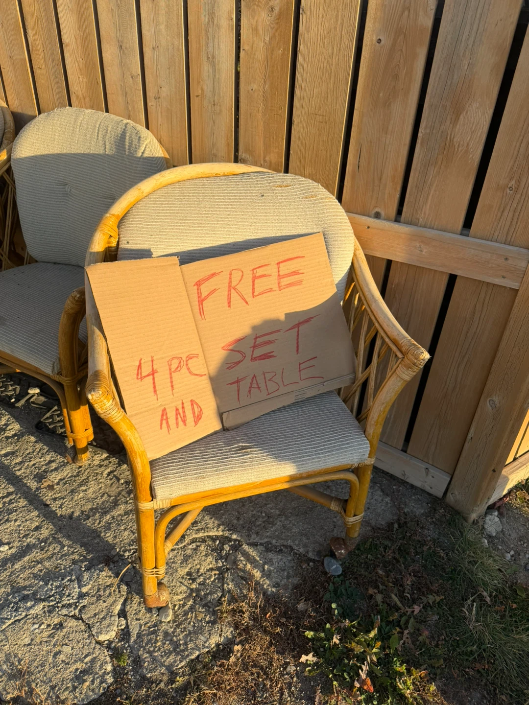 FREE - 5 Piece Rattan Furniture Set (project/DIY)