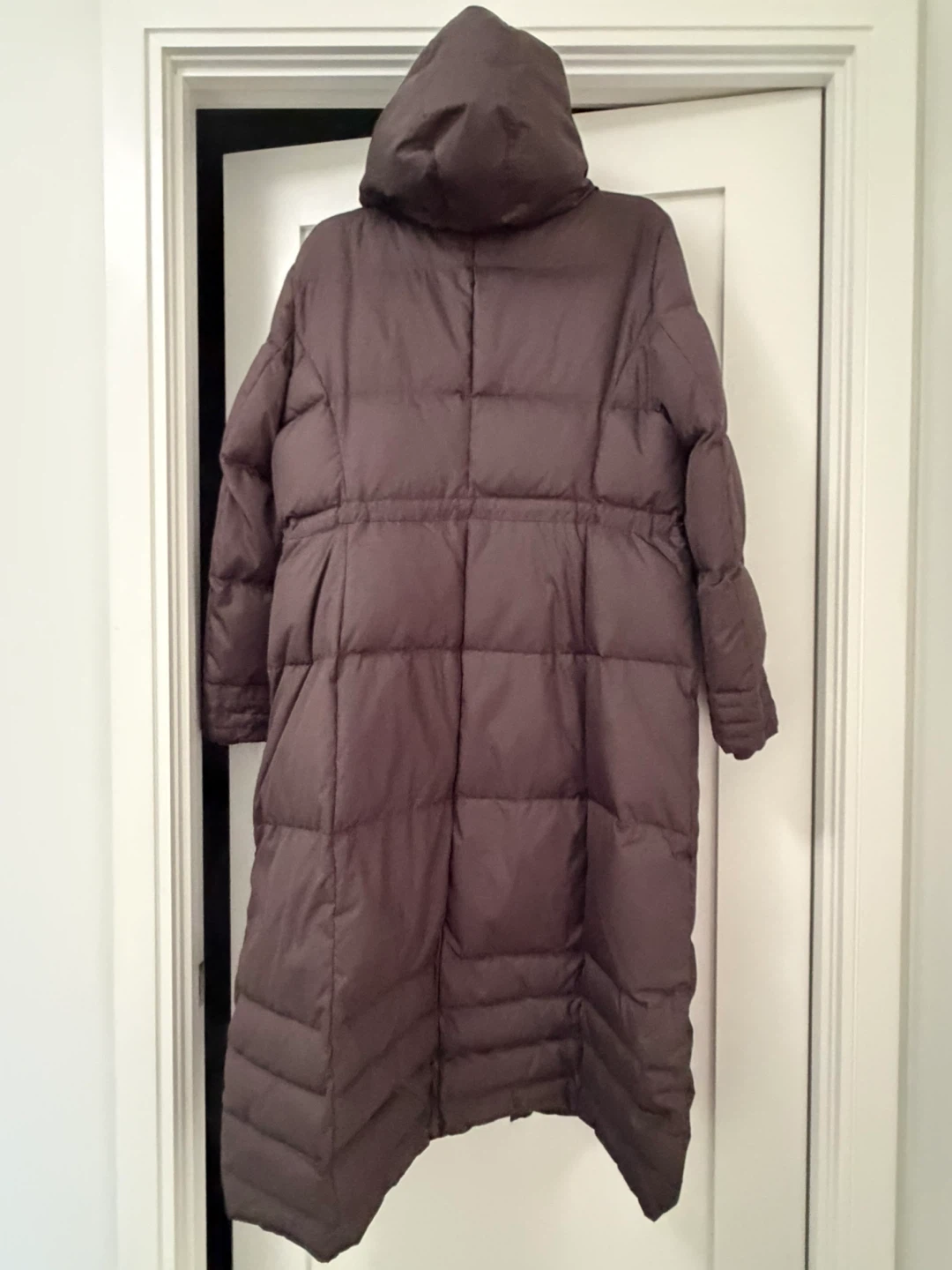 Winter Jacket