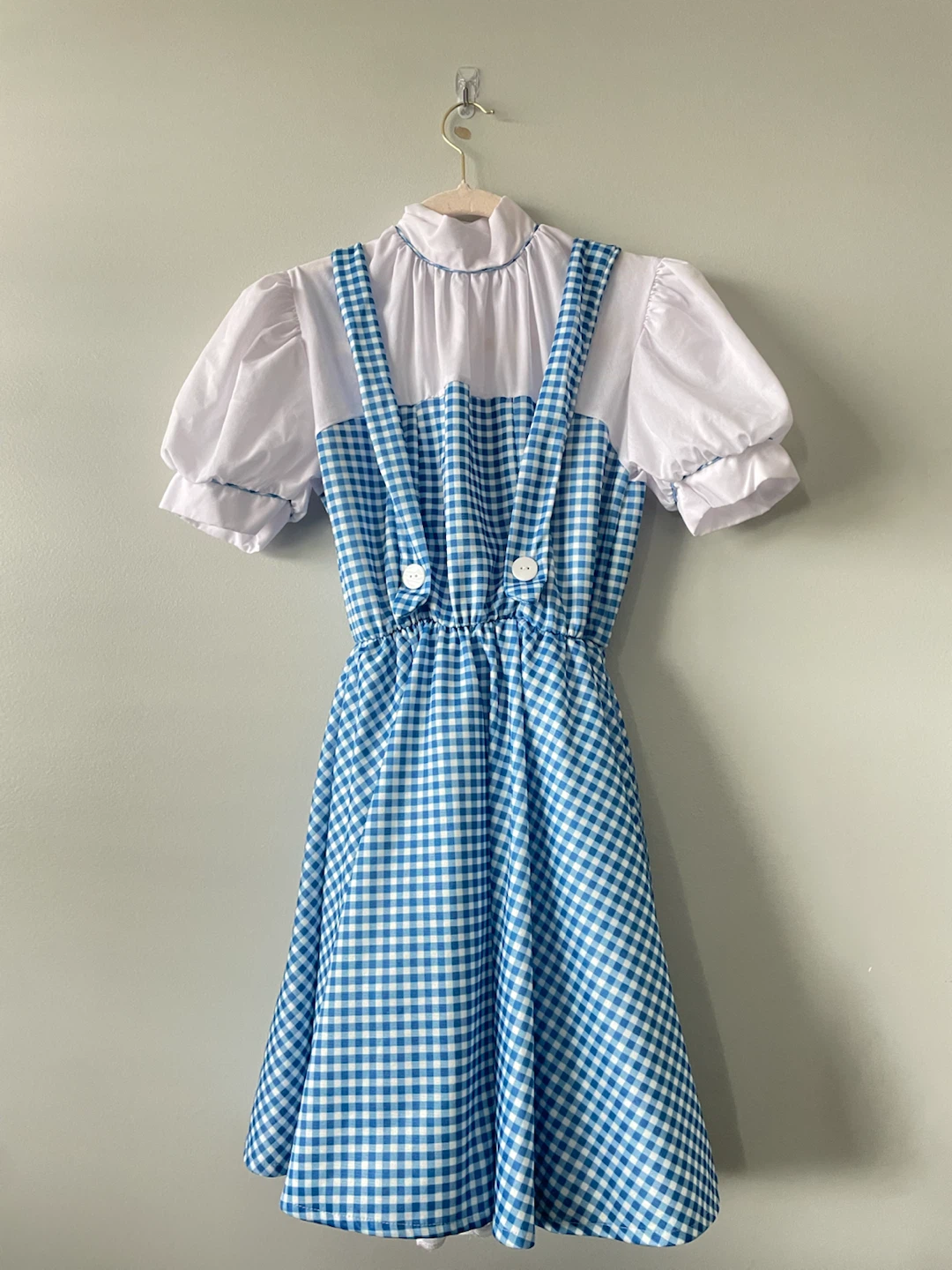 Dorothy Wizard of Oz Costume