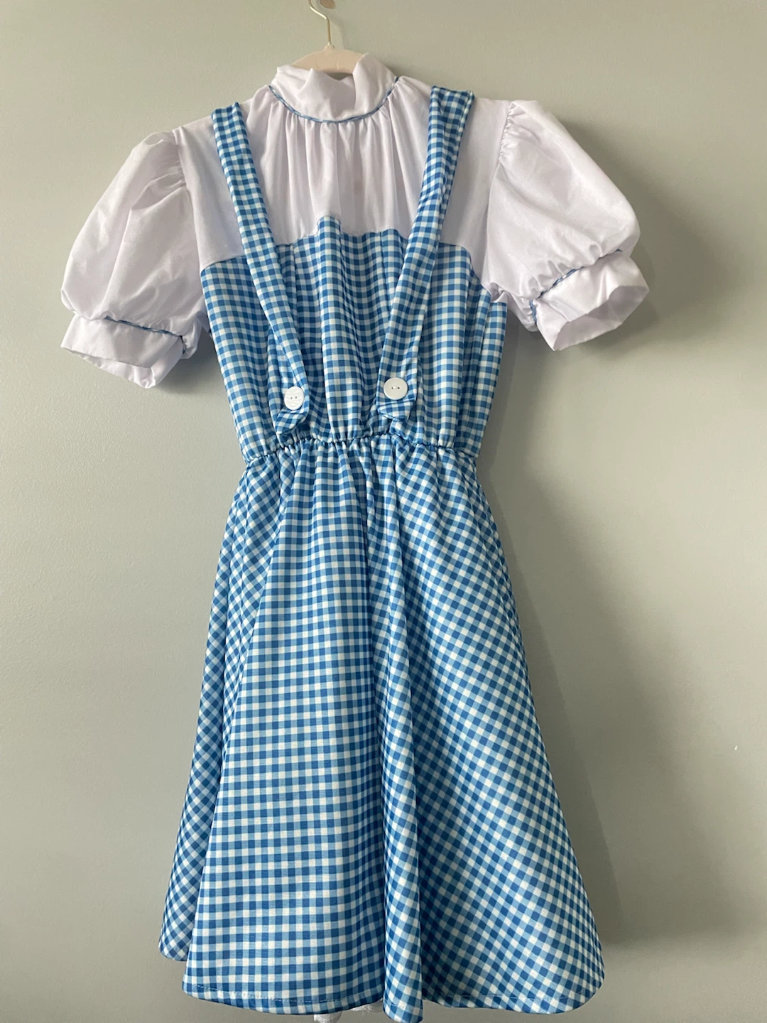 Dorothy Wizard of Oz Costume - photo 2