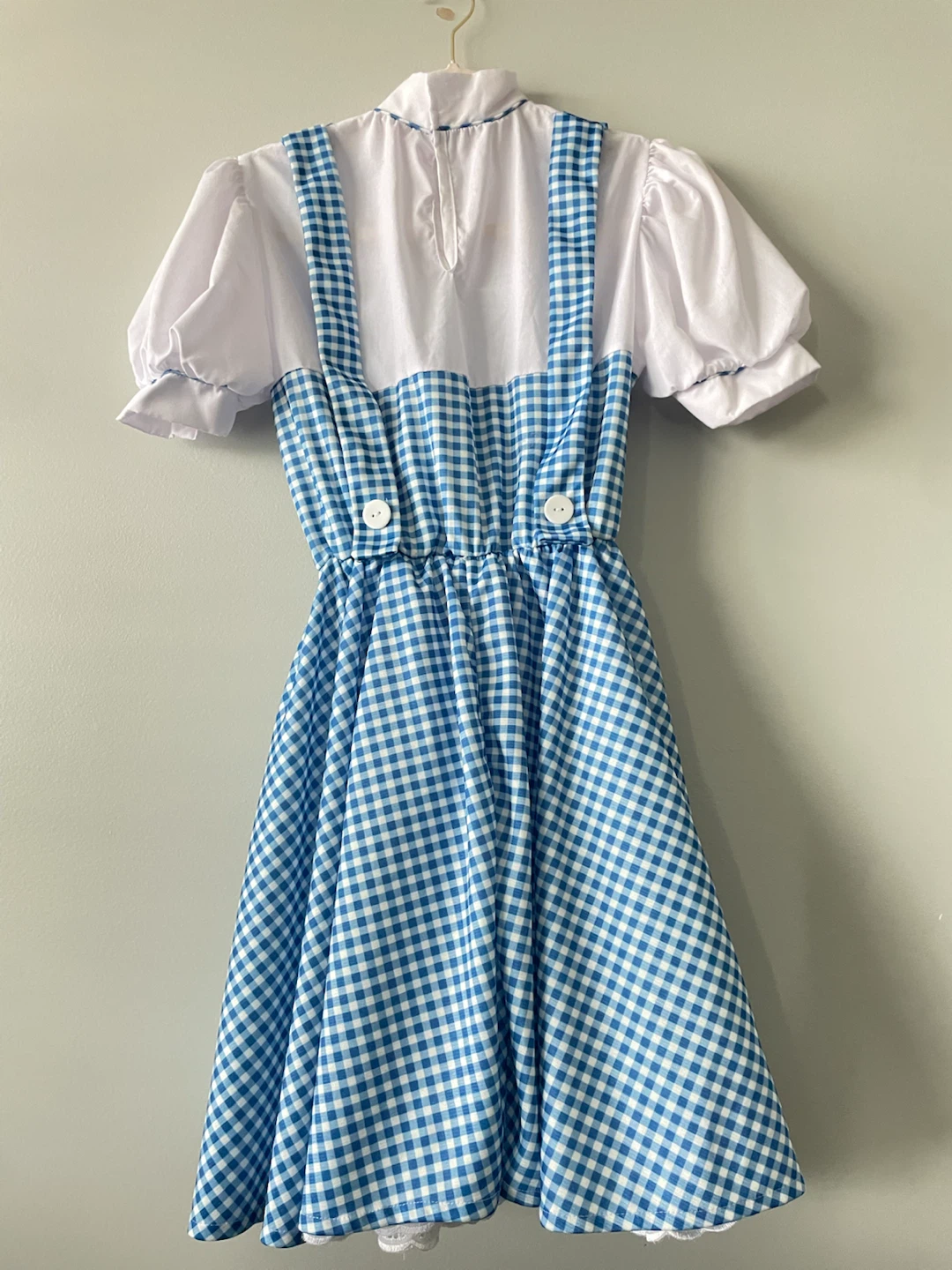 Dorothy Wizard of Oz Costume - photo 3