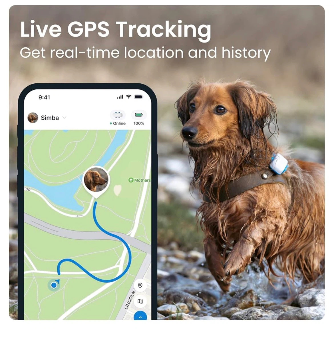 Unopened tractive GPS tracker for dogs with activity monitoring - photo 2