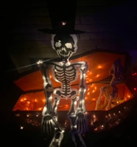 Home Accents 4ft Tinsel Coffin with Skeleton - photo 2