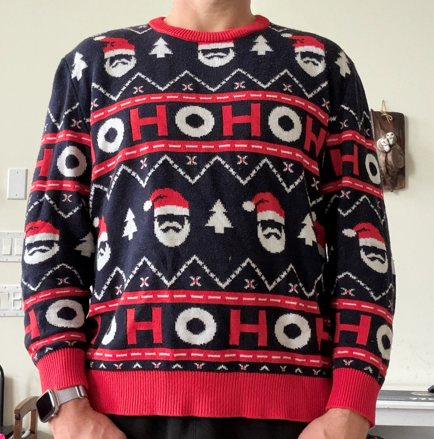 Festive Santa Christmas Sweater